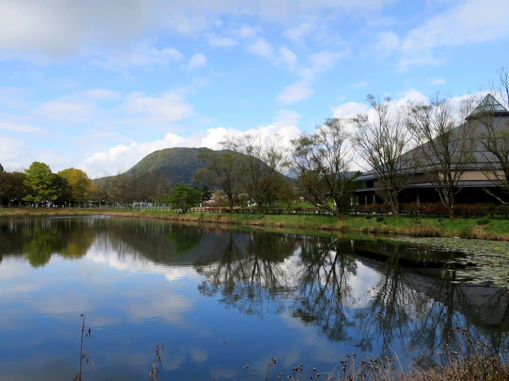 Autumn reflection
