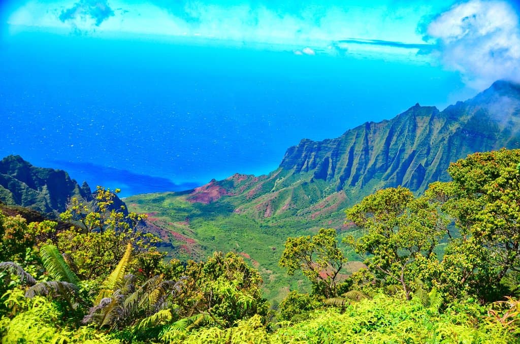 Great view from this lookout.