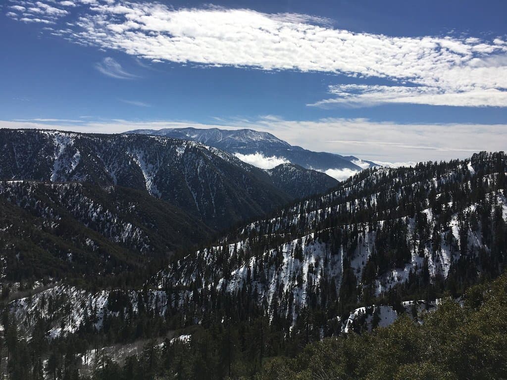 San Bernardino National Forest