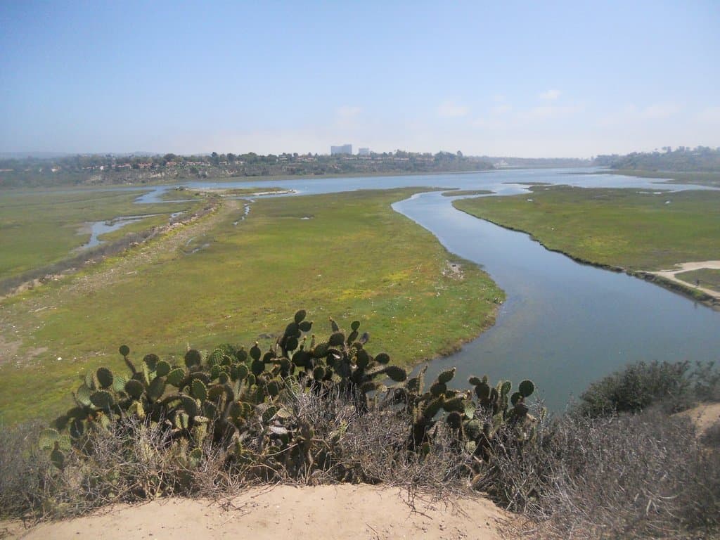 overlooking the preserve