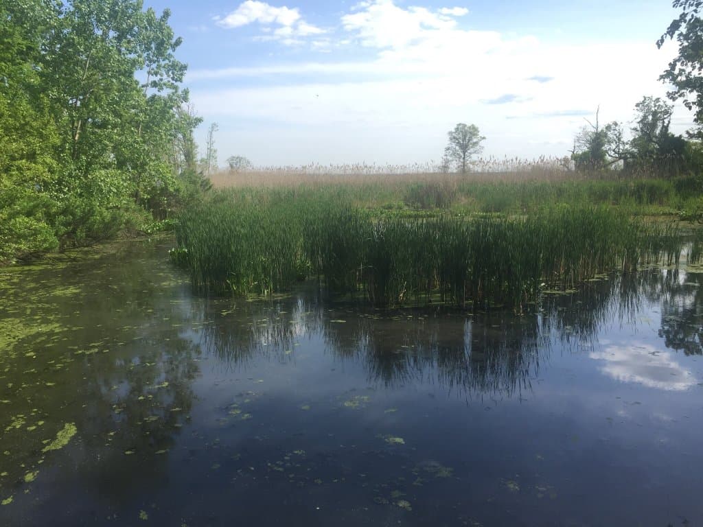 Conference House Park Staten Island