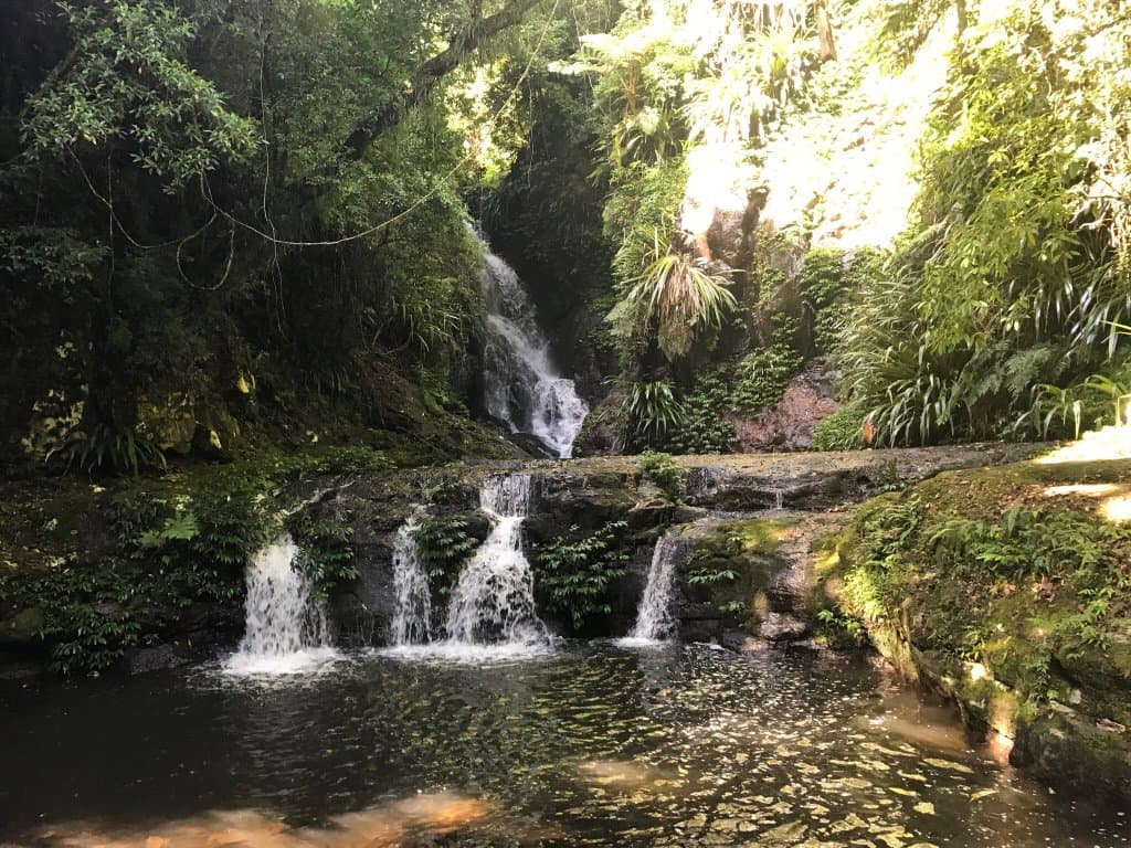 Lamington National Park