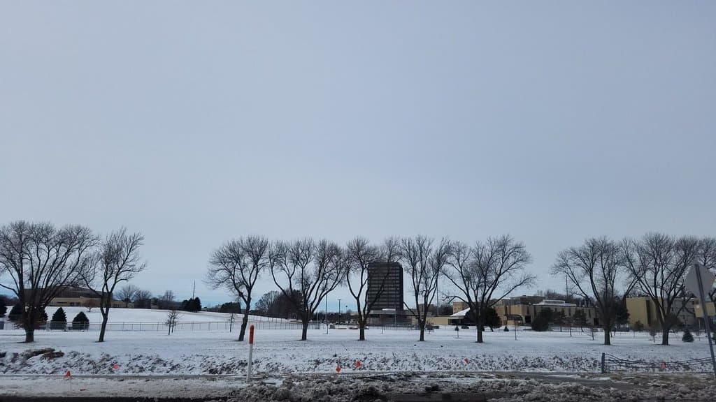 the park