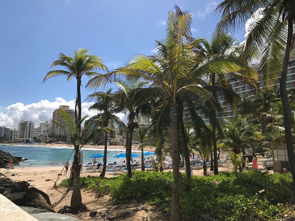 Vista desde el Parque Ventana del mar hacia los hoteles de la calle Ashford