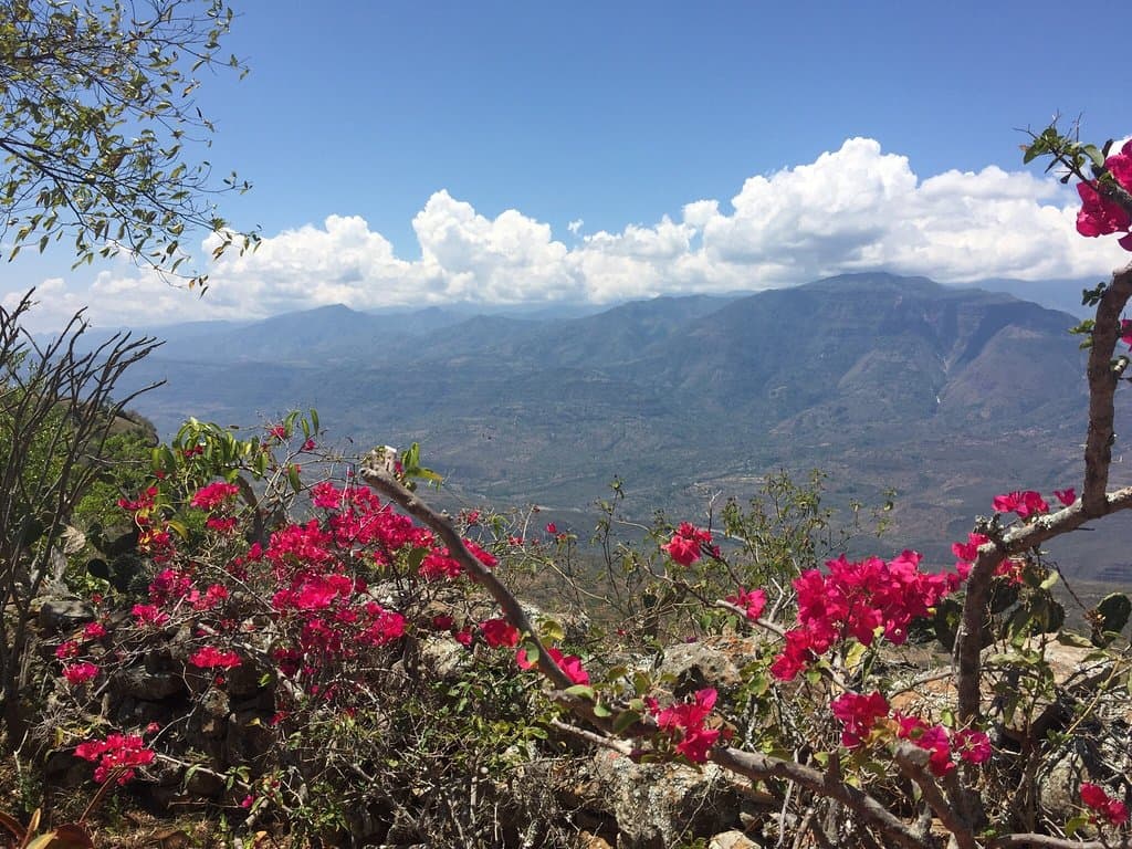 Parque para las Artes Jorge Delgado Sierra
