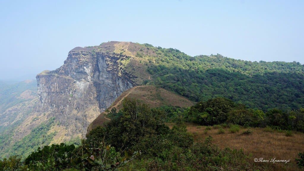 The other side of BRD