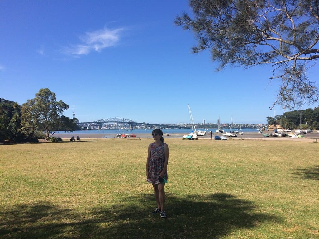 View of the Bridge from Little Shoal Bay