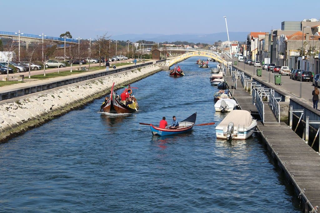 Experiência Única na Ria de Aveiro