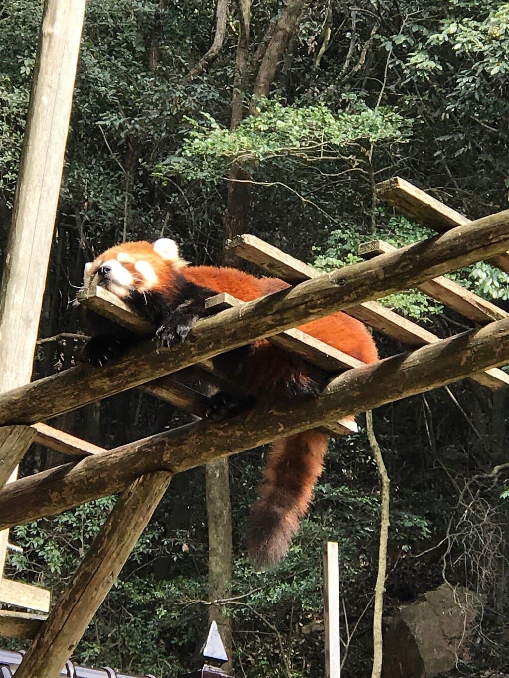 Ikeda Zoo