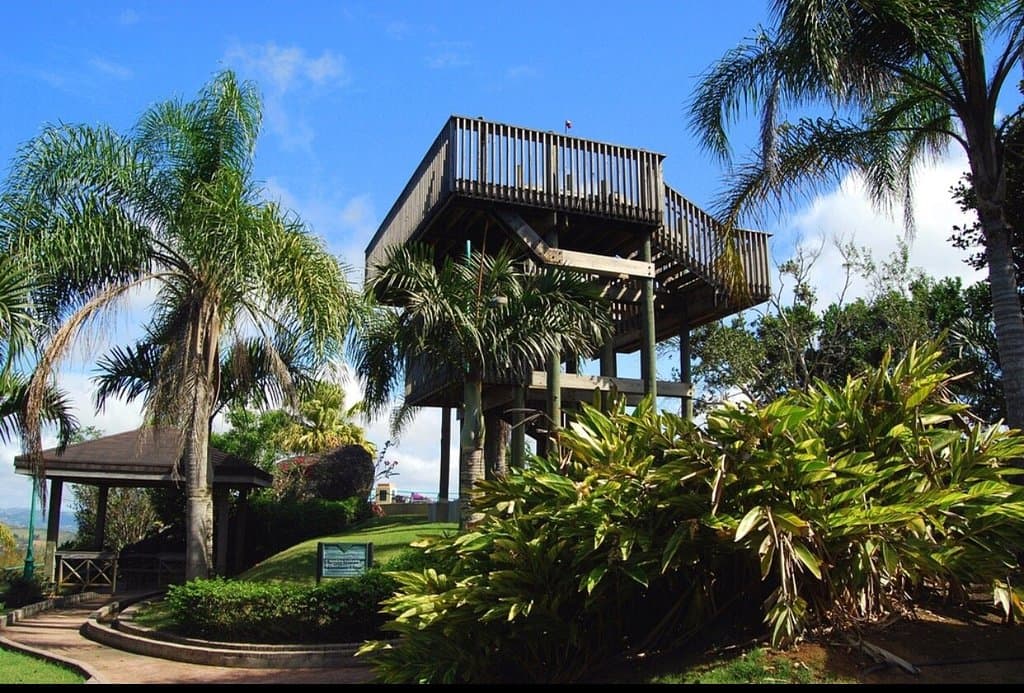 Piedra Degetau Viewpoint Aibonito
