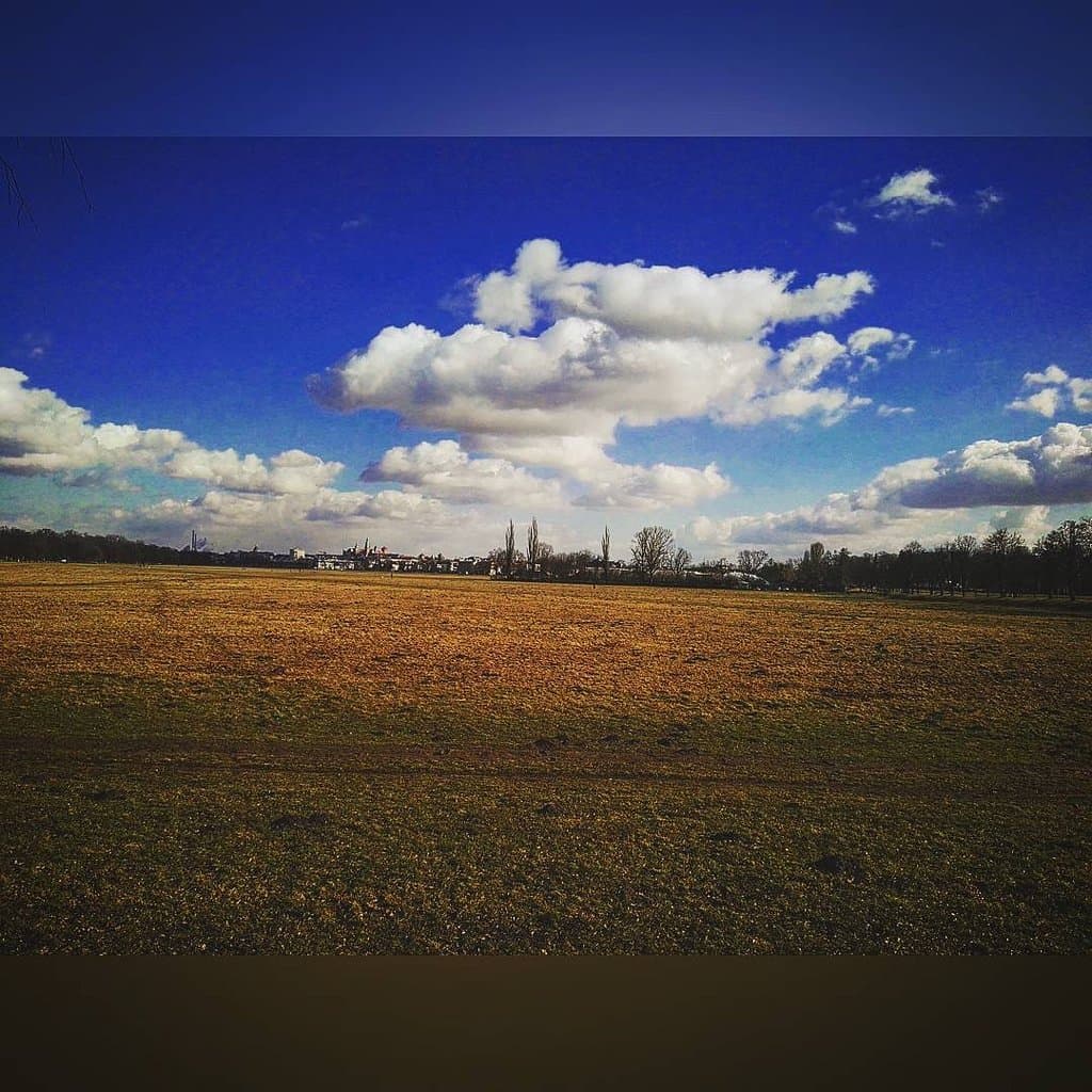Błonia Meadows Sopot