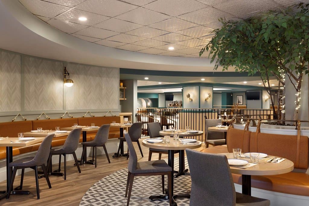 Avoid cabin fever. Be social in the mountains in Alpine Social. 