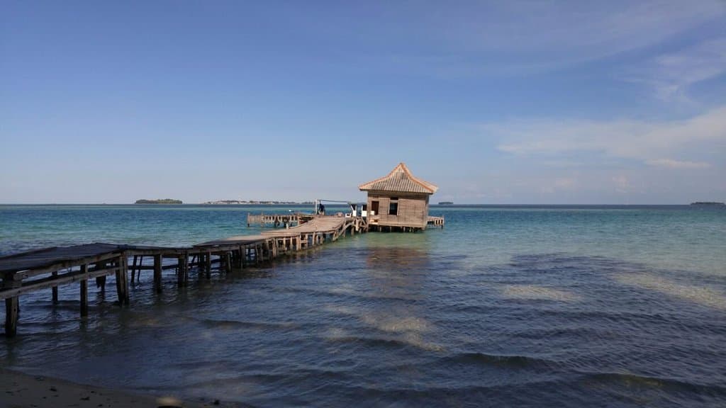 pulau semak daun-2