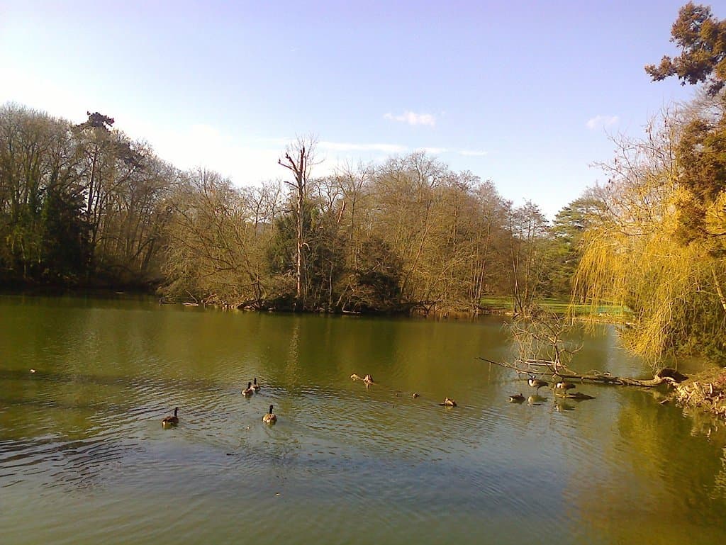 Plan d'eau, lac, étang. Vous avez compris
