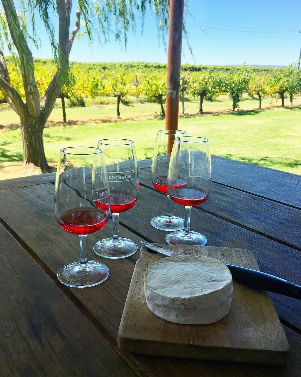 Fantastiskt gott rosévin