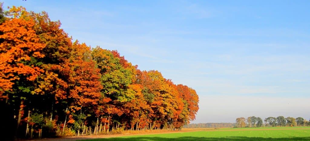 De Liereman Nature Reserve