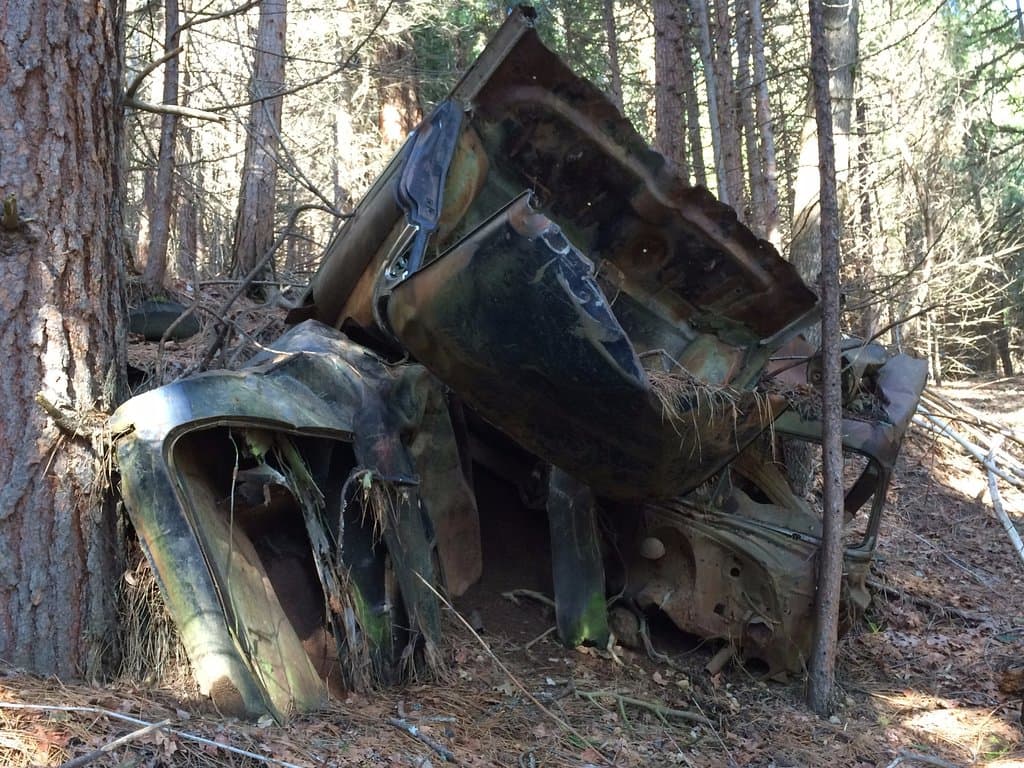 This place is so weird and cool.