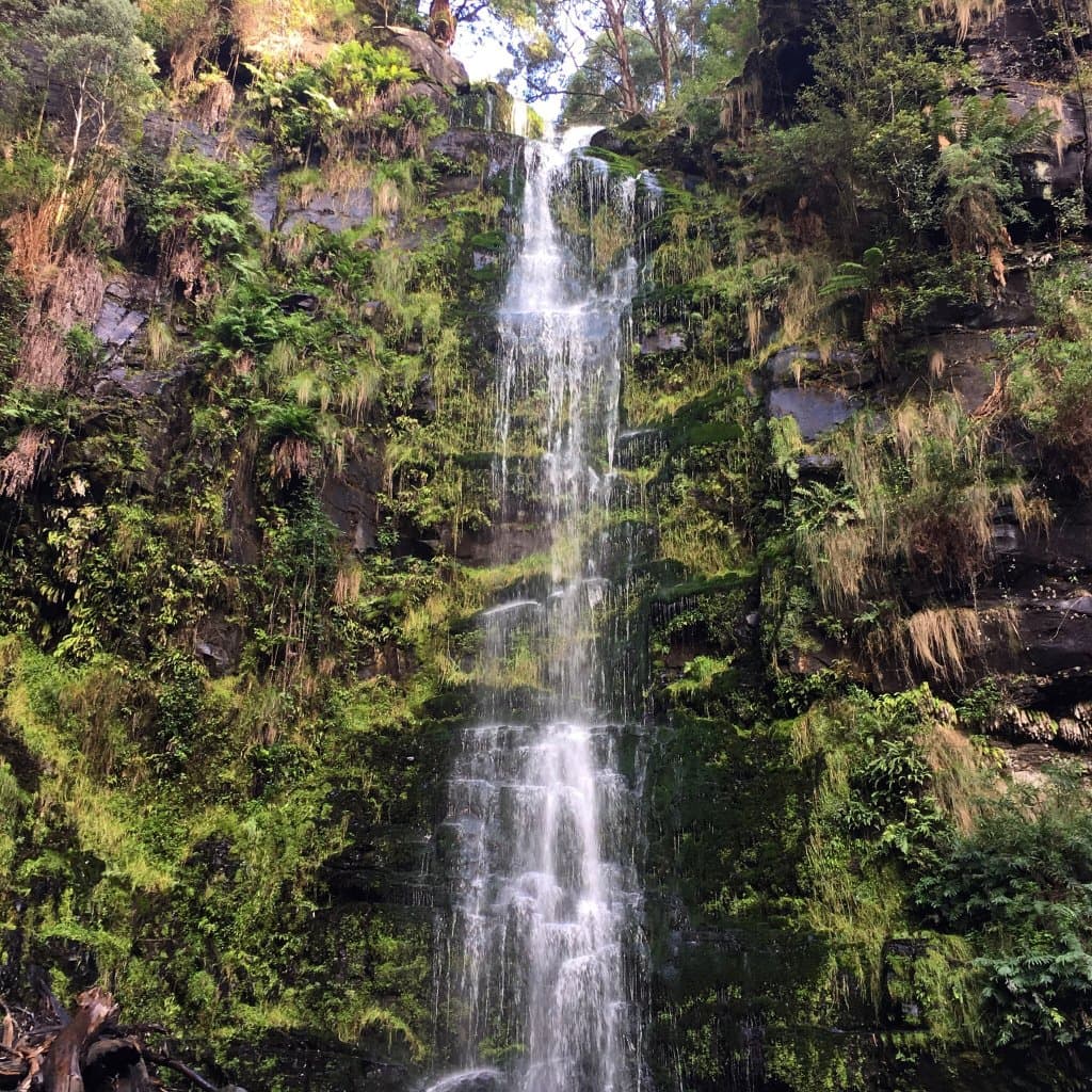 Erskine Falls Melbourne