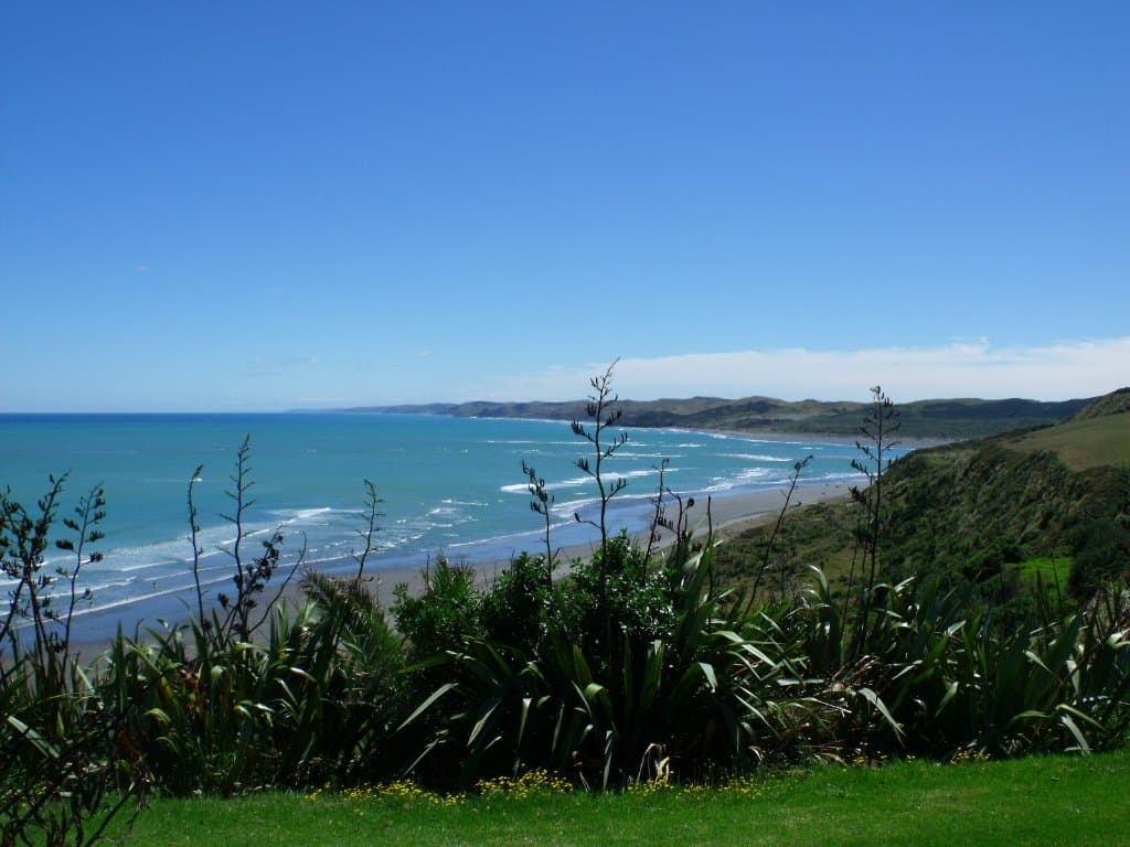 Wainui Reserve looking North