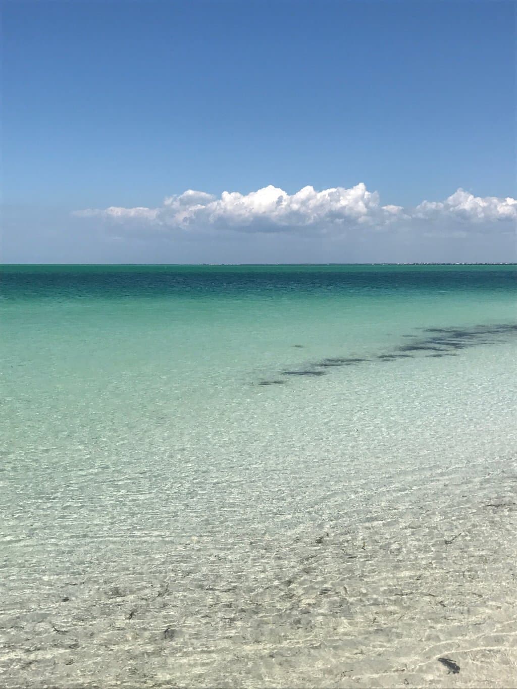 Anclote Key Preserve State Park