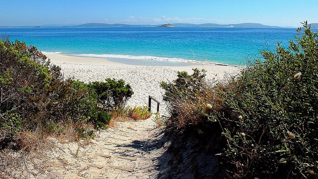 Looking down the path to the beach
