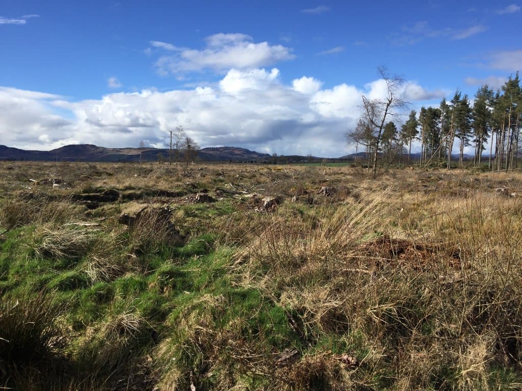 Five Mile Woods Preserve