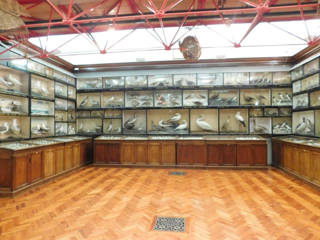 Dorman Museum Middlesbrough