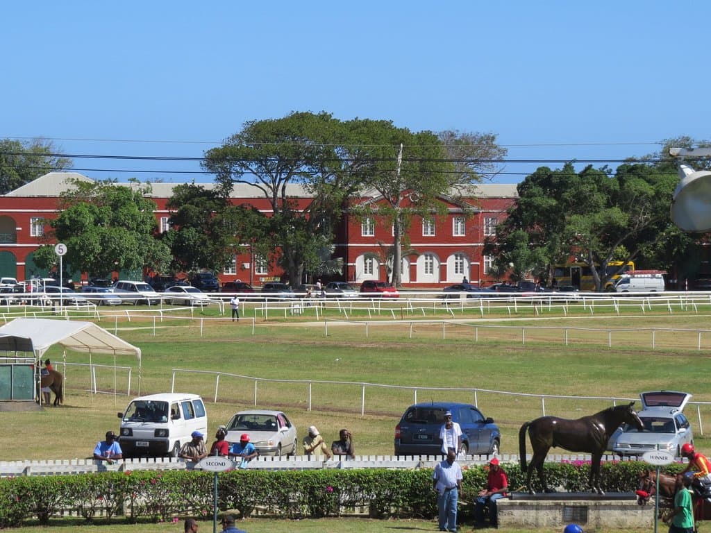 Across the race course