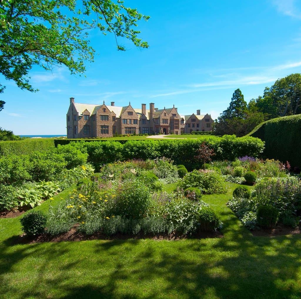 Rough Point in bloom
