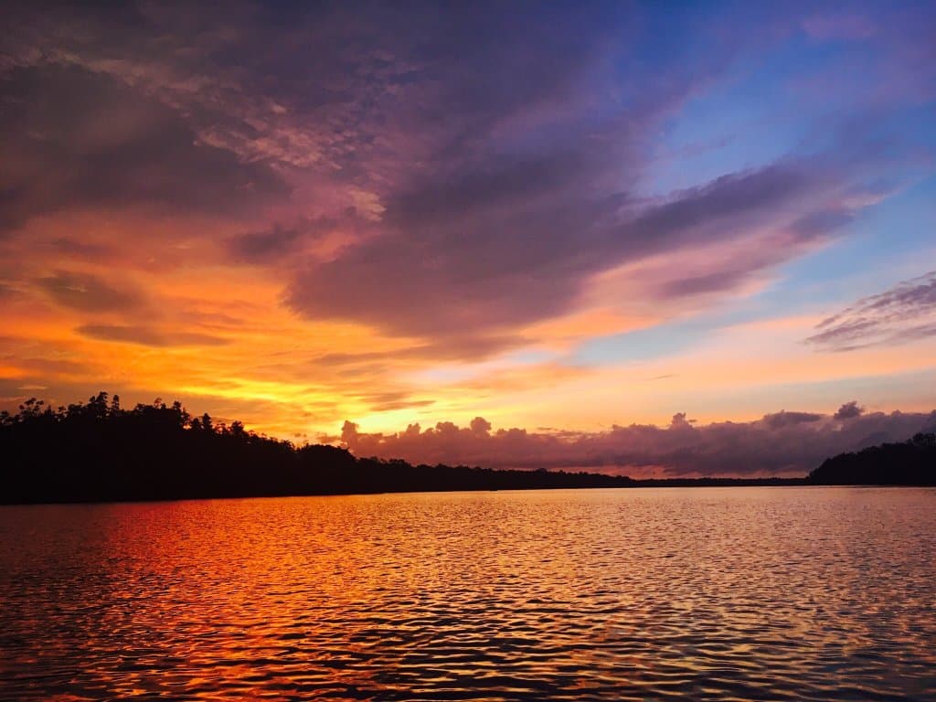 Kuching Wetlands National Park