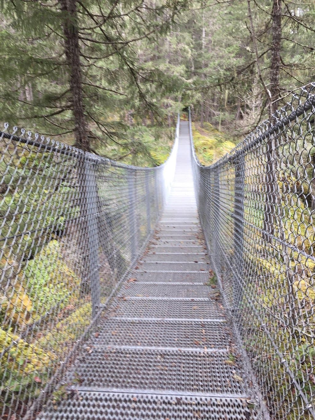 Haslam Creek suspension bridge