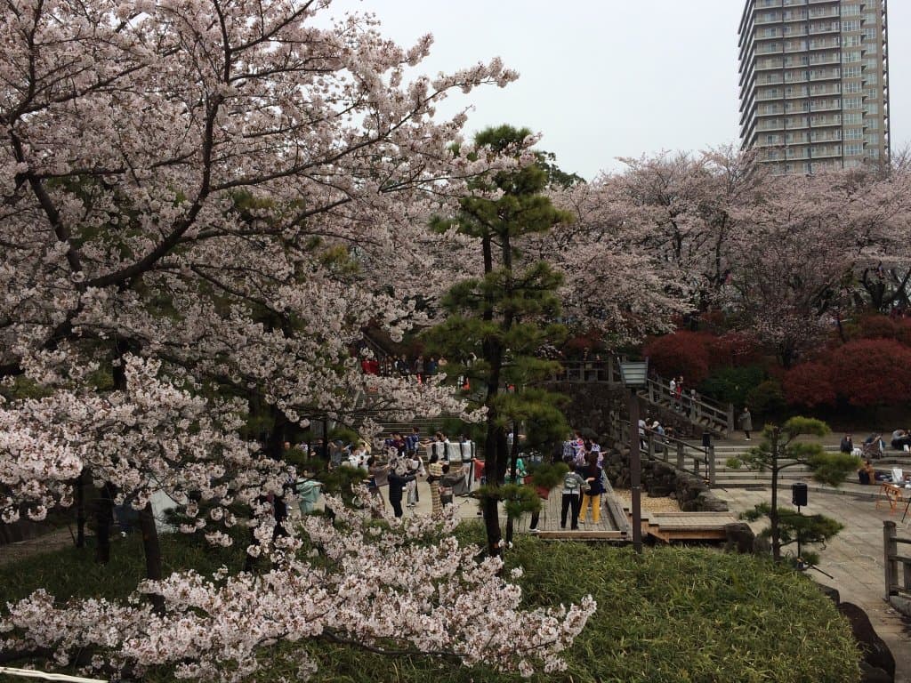 Asukayama Park Tokyo