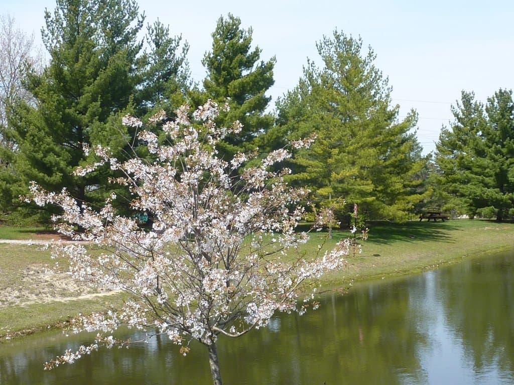 Stubbs Park_Centerville, OH