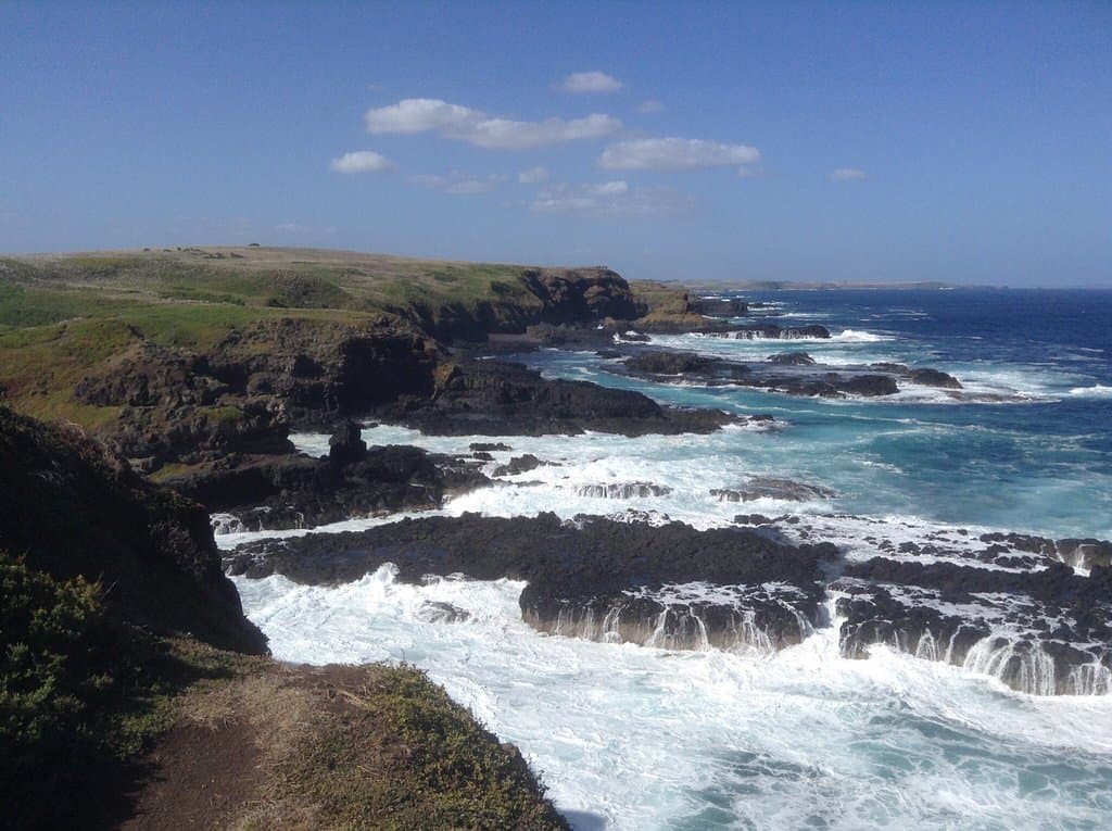 Phillip Island Wildlife Park Victoria