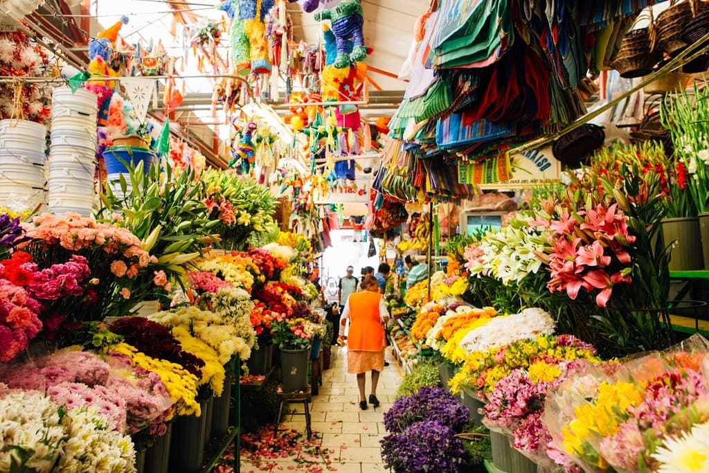 Mercado Ignacio Ramírez