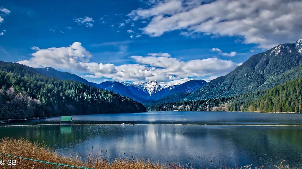View of the lake from the park.