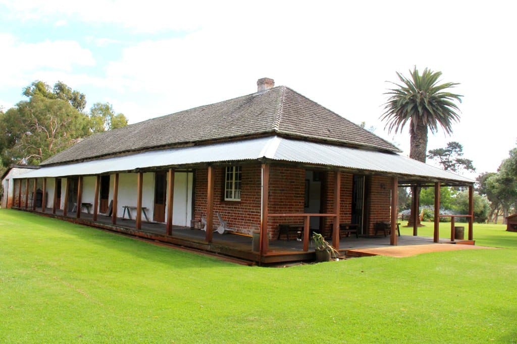 Wonnerup, Layman Road, Wonnerup (Busselton) - palm