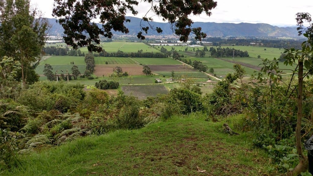 Vista