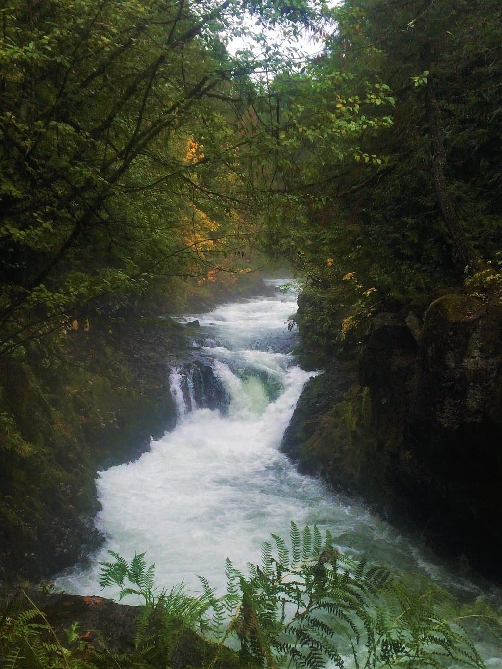 White Salmon River Rafting Corridor