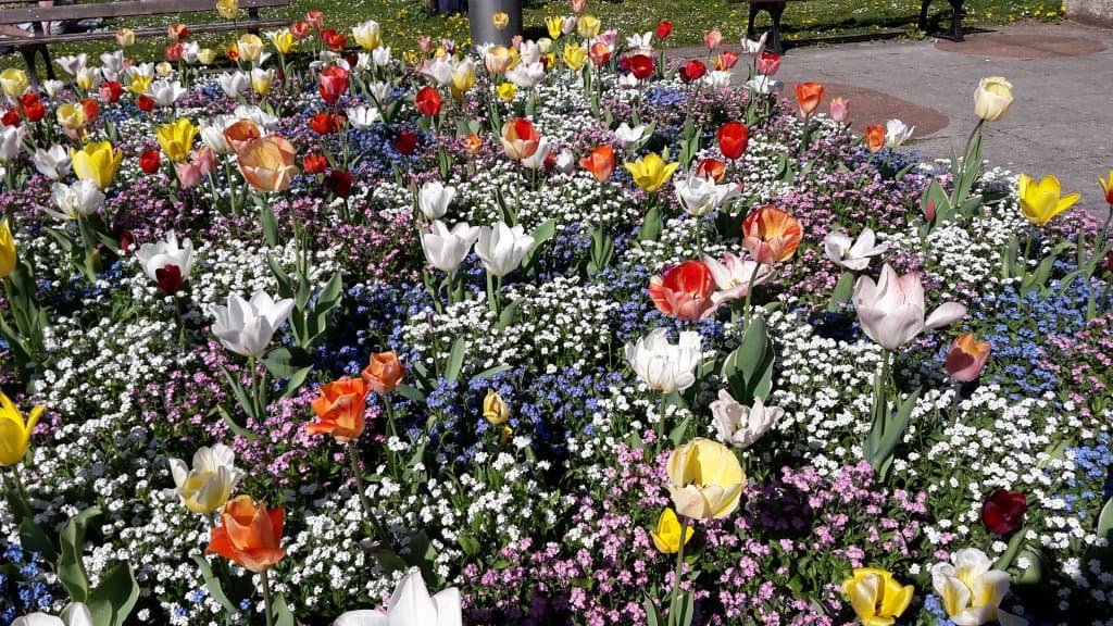 Très joli parc fleuri .encore plus intéressant à voir pendant l'été