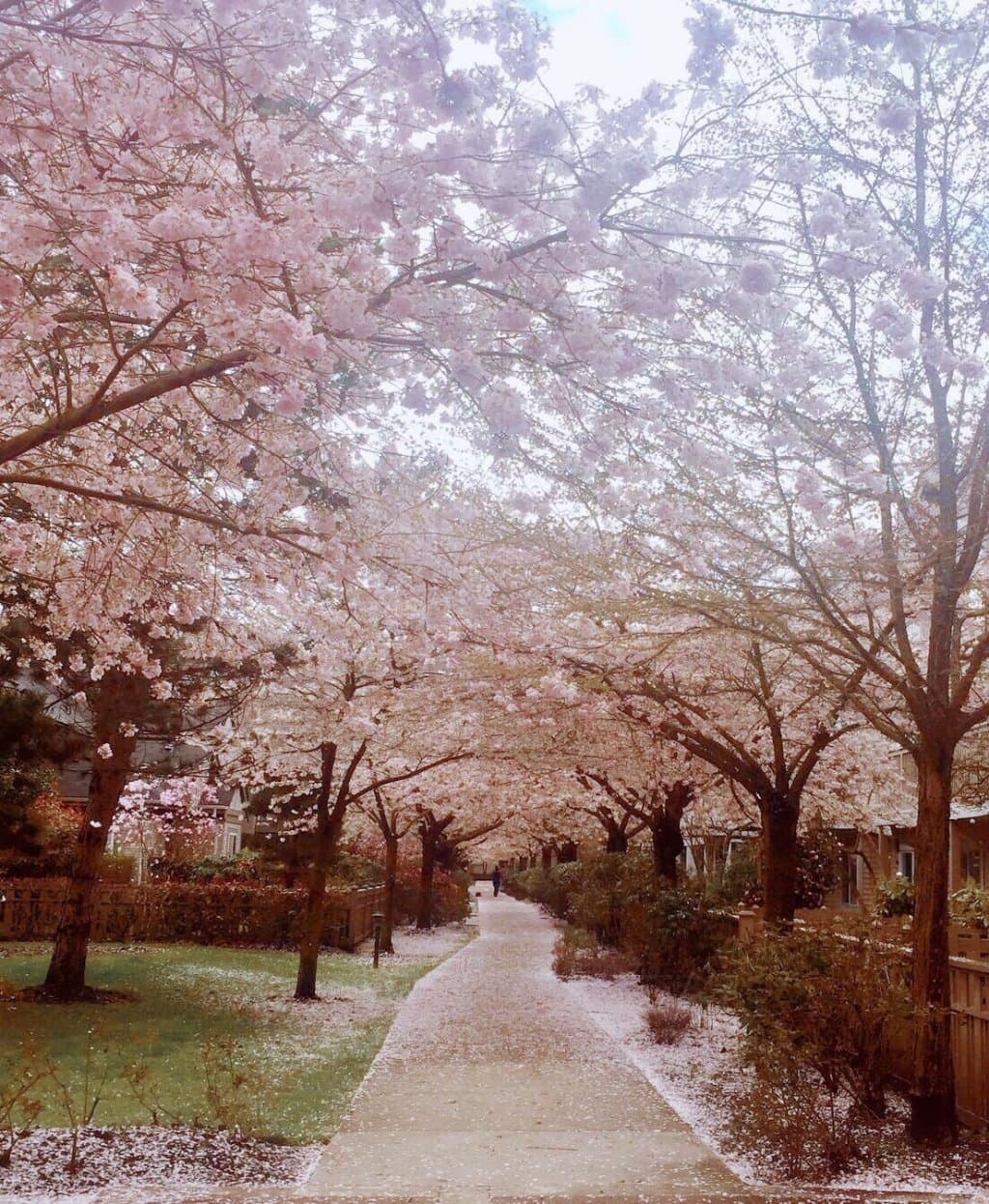 Terra Nova Adventure Play Environment