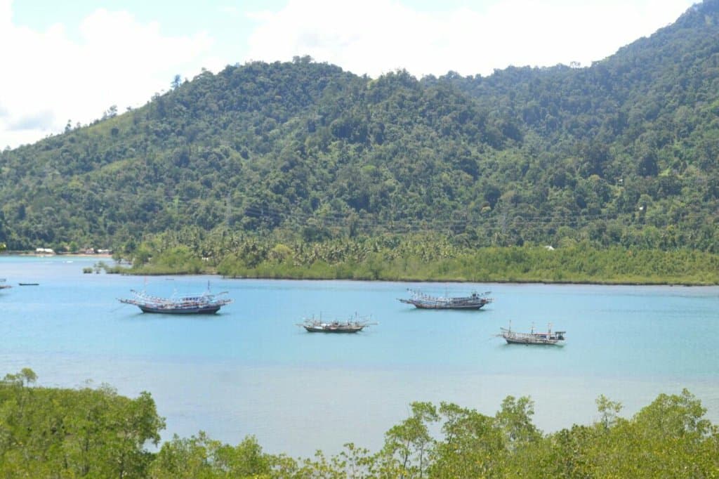 Muaro Lasak Park Peace Dove