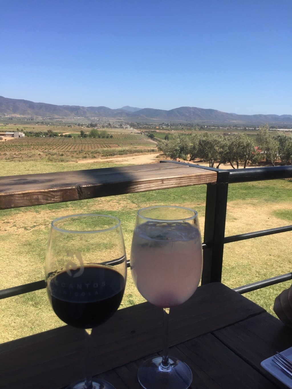 Decantos Vinícola