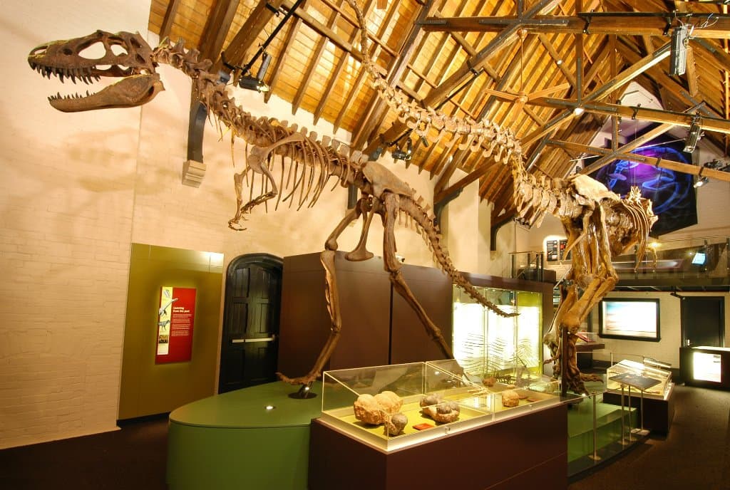 Australian Fossil and Mineral Museum