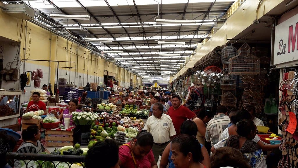 Lucas de Galvez Market Merida