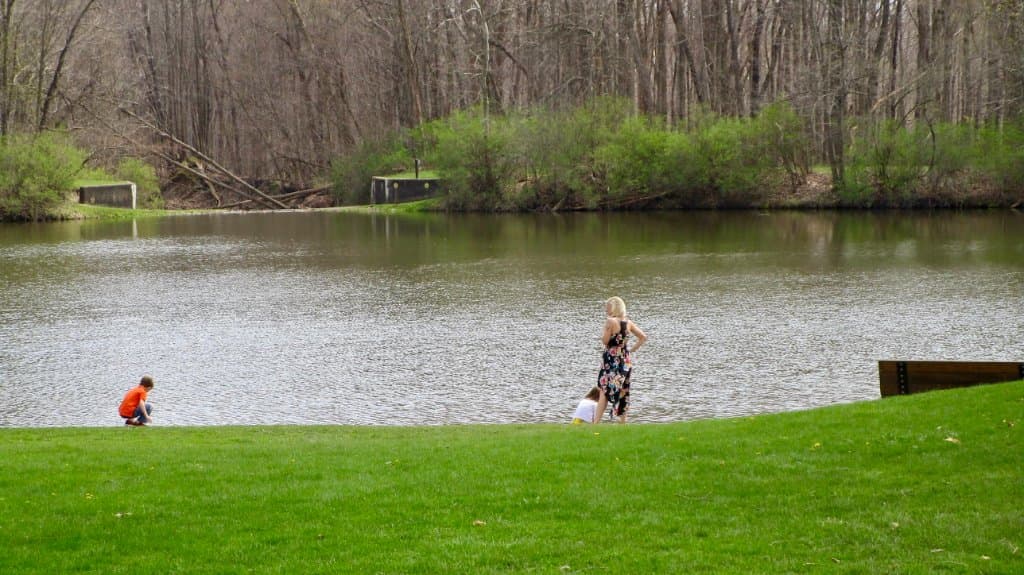 lake view from inside the lodge