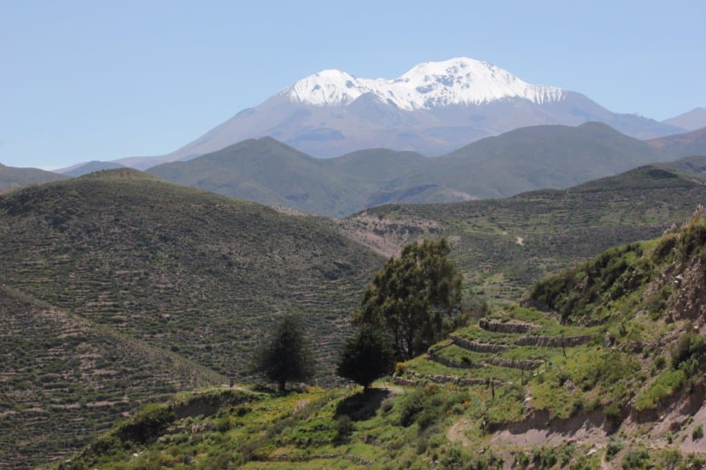 cultivo en terrazas