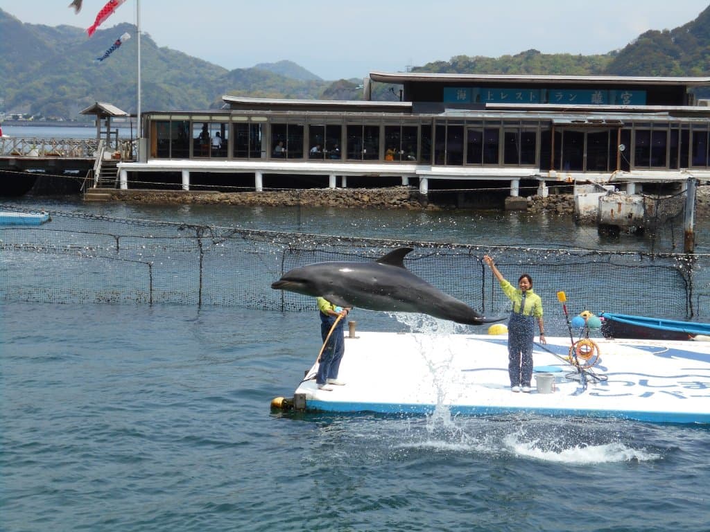 Shimizu Marine Park