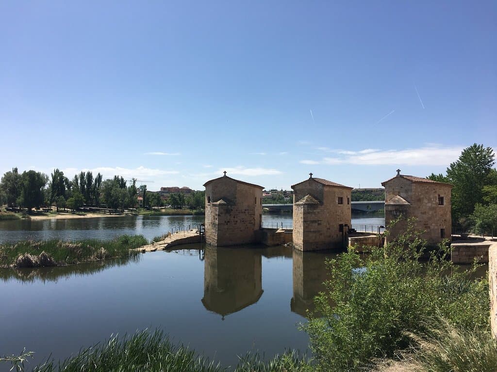 Olivares Quarter