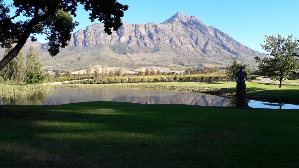 Saronsberg Wine Cellar and Art Gallery